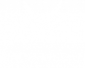 MaccMedan Logo